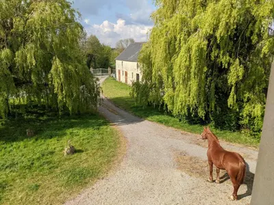 Animal ou animaux domestique(s) séjournant avec des clients dans l'établissement Chambre des moutons