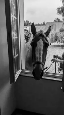 Clients de l'établissement Chambre des moutons