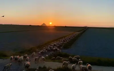 Lever ou coucher de soleil vu de la maison de vacances ou à proximité