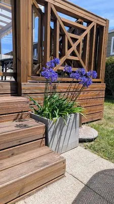 Jardin de l'établissement Cozy mobile home with great comfort - Camping La Sirène