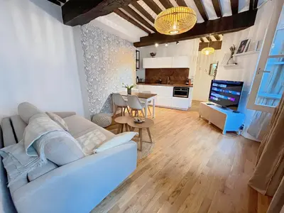 Télévision ou salle de divertissement dans l'établissement Cœur de Caen, charme ancien & confort moderne