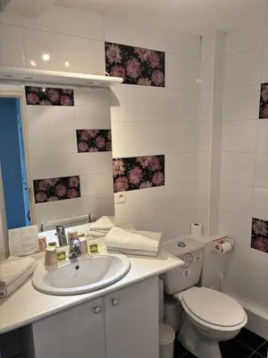 Salle de bains dans l'établissement Le Duguesclin