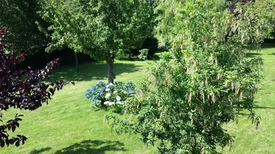 Jardin de l'établissement Luxury rural farmhouse retreat ideal for families with a jacuzzi hot tub