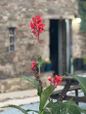 Plan de l'établissement Holidays-Normandy - Ursula gîte