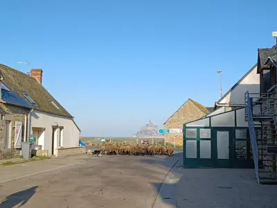 Paysage naturel près de le séjour chez l'habitant