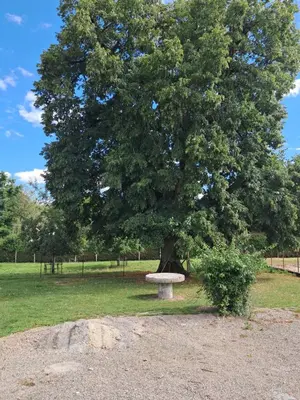 Jardin de l'établissement chez Denis