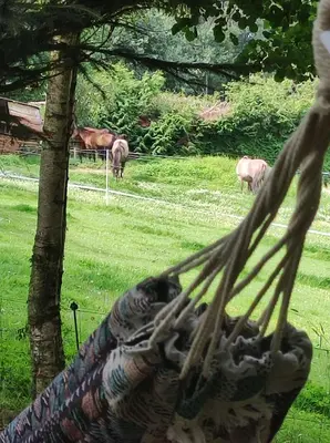 Animaux dans le camping ou à proximité