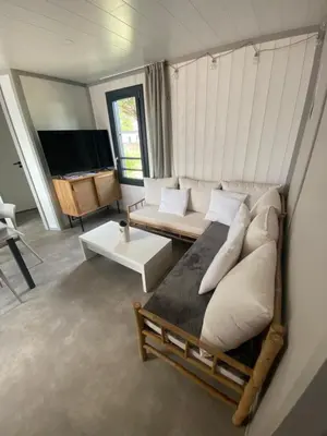 Télévision ou salle de divertissement dans l'établissement chalet à l'Edune 6 ou 12pers avec mon2ème chalet beau standing piscine couverte chauffée à 150m de la mer wifi inclus