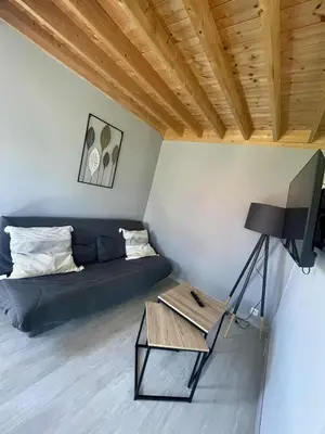 Télévision ou salle de divertissement dans l'établissement Le petit Chalet
