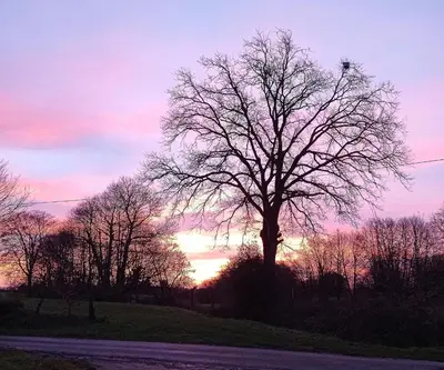 Lever ou coucher de soleil vu de la maison de vacances ou à proximité