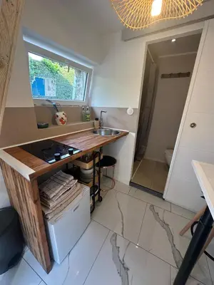 Cuisine ou kitchenette dans l'établissement Studio Proche Gare, Centre ville