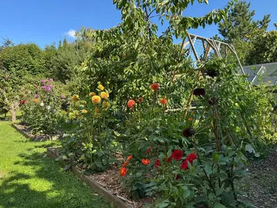 Jardin de l'établissement Chambre Le Mas du Bessin