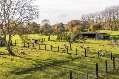 Jardin de l'établissement Gîte Cheval doré dans la ferme