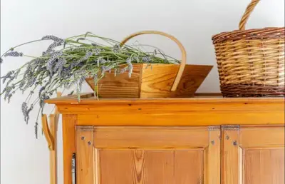Plan de l'établissement Le Cozy Maupas
