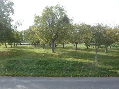 Jardin de l'établissement Bivouac Haut comme 3 pommes