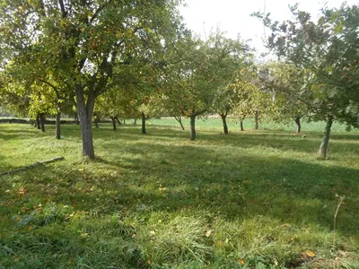 Jardin de l'établissement Bivouac Haut comme 3 pommes