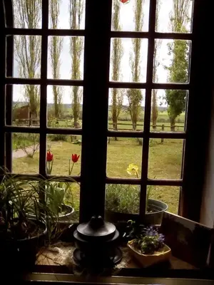 Jardin de l'établissement La Ferme Des Vignes