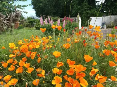 Jardin de l'établissement La Roseliére
