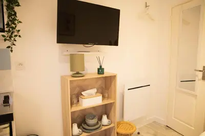 Télévision ou salle de divertissement dans l'établissement Charmant Studio avec parking Résidence Zénith