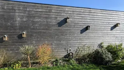 Jardin de l'établissement Maison moderne de plain-pied proche de la mer