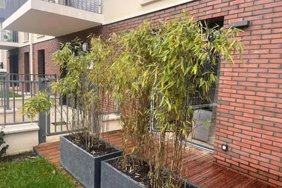 Jardin de l'établissement Bright studio in Cabourg close to the beach!