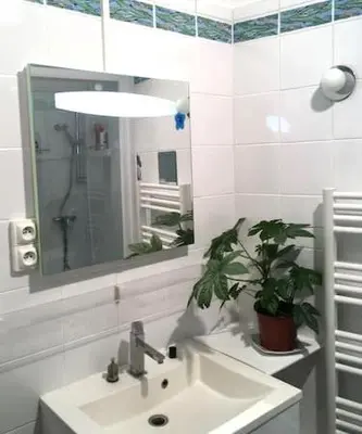 Salle de bains dans l'établissement Chambre privee chez l habitant dans un appartement cosy avec acces aux espaces communs