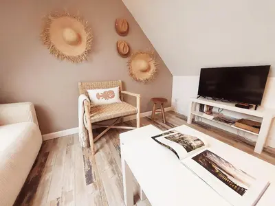 Télévision ou salle de divertissement dans l'établissement Cottage dans les dunes