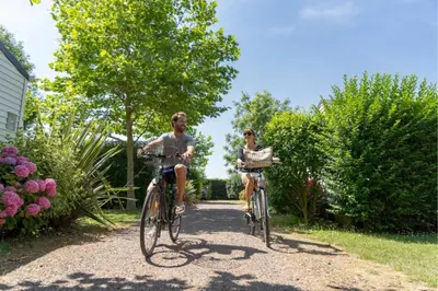 Vélo sur le terrain de l'établissement Cottage Nautilus 4p 2Bdrms AirConPremium ou dans les environs