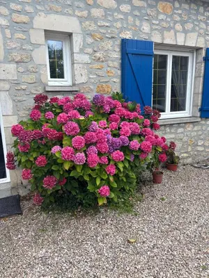 Jardin de l'établissement Le charme du cotentin, votre havre de paix pour les vacances