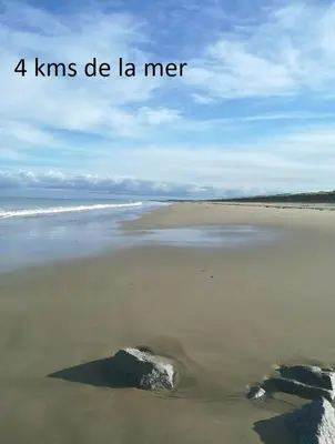 Plan de l'établissement Esprit Marine AppartHotel - Le Downtown 1 à 5 personnes