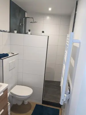Salle de bains dans l'établissement Penuel Tiny House