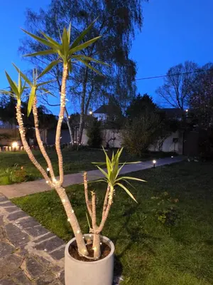 Jardin de l'établissement Arc en Ciel du Mont B&B