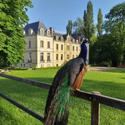 Eco Hôtel du Domaine de Ouézy