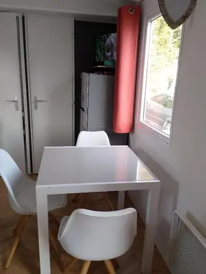 Cuisine ou kitchenette dans l'établissement Location mobil home