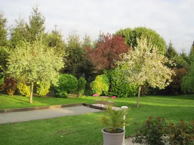 Jardin de l'établissement Maison Mama Neko