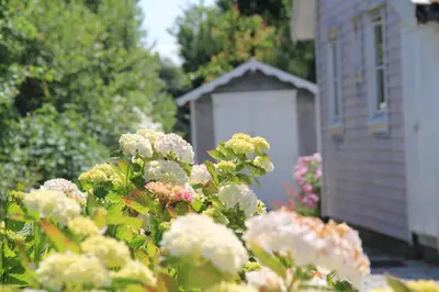Jardin de l'établissement Between the dunes and the sea