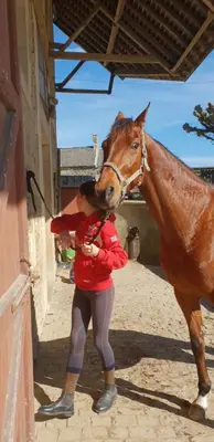 Animaux dans le B&B/chambre d'hôtes ou à proximité