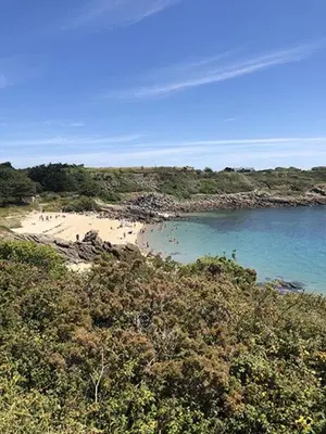 Paysage naturel près de le camping