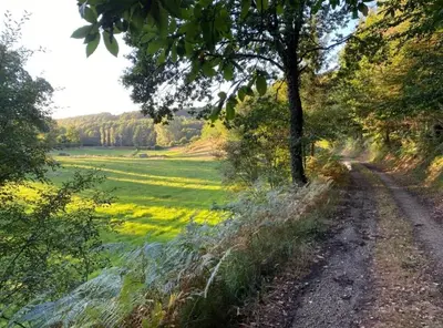 Paysage naturel près de la maison de vacances
