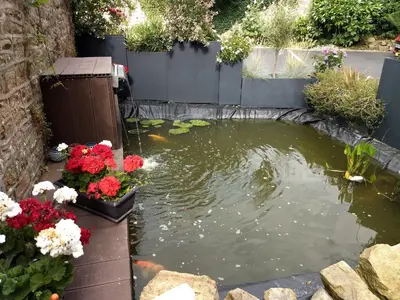 Jardin de l'établissement Hôtel Patton