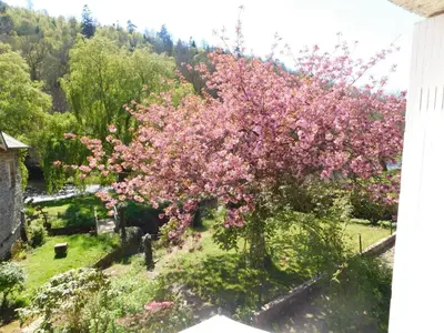 Jardin de l'établissement Le Moulin L'Eveque