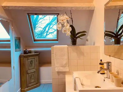 Salle de bains dans l'établissement Gîte des Fougères