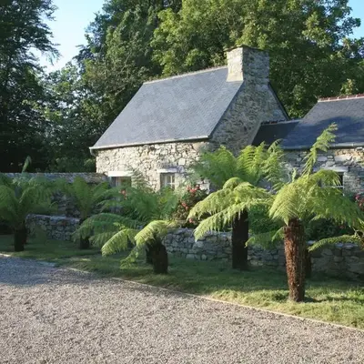 Gîte des Fougères
