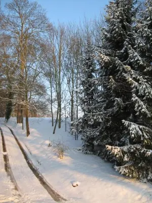 L'établissement Le Gîte du Bas Manoir en hiver