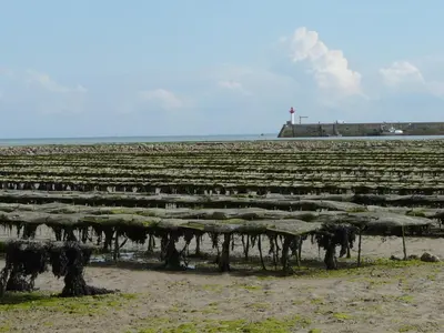 Paysage naturel près de l'hôtel