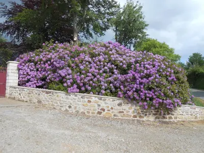 Jardin de l'établissement Maison Brix