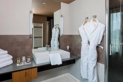 Salle de bains dans l'établissement Hotel Restaurant Spa Ivan Vautier