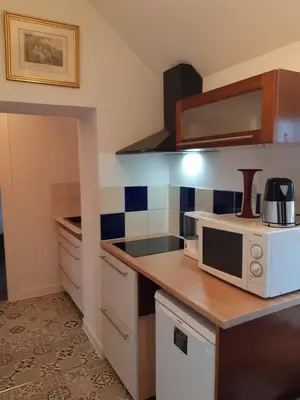 Cuisine ou kitchenette dans l'établissement Maison des Isles