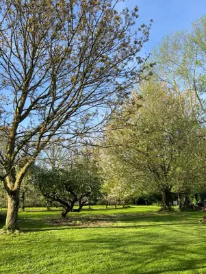 Jardin de l'établissement Chambres d'Hôtes Manoir Du Chêne