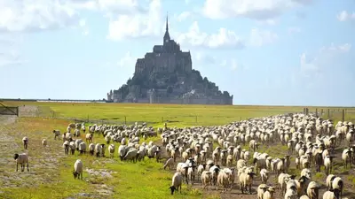 Lieu d'intérêt à proximité de la maison de vacances